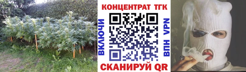 как найти закладки  Стрежевой  МЕГА маркетплейс  ТГК вейп 