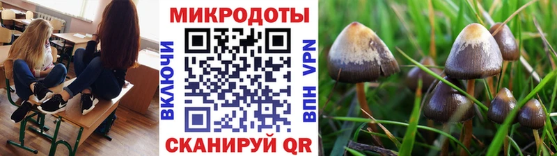 Псилоцибиновые грибы MAGIC MUSHROOMS  Стрежевой 